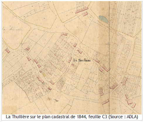 La thuiliere bat